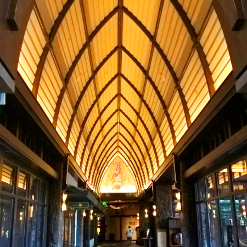 WP_20171104_06_54_02_Pro